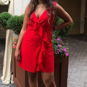 The Impeccable Pig Ruffle Dress